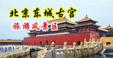 美女插逼视频中国北京-东城古宫旅游风景区